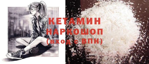 крисы Няндома
